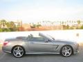 Paladium Silver Metallic - SL 550 Roadster Photo No. 3