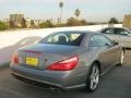 Paladium Silver Metallic - SL 550 Roadster Photo No. 6