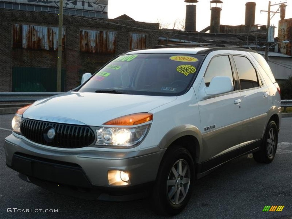 2002 Rendezvous CXL AWD - Bright White / Medium Oak photo #23