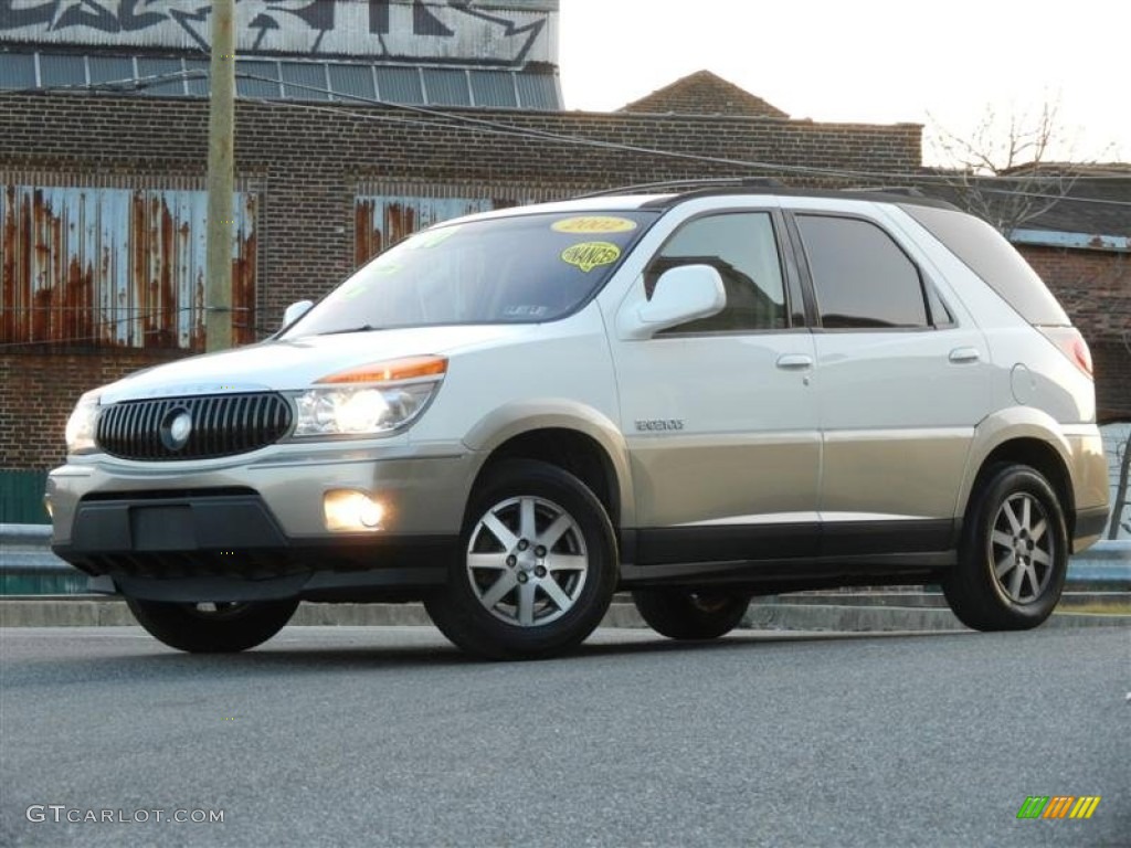 2002 Rendezvous CXL AWD - Bright White / Medium Oak photo #24