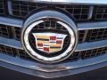 2013 Cadillac ATS 2.0L Turbo Performance Badge and Logo Photo