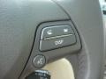 2010 Lexus GS Parchment Interior Controls Photo