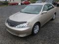 Desert Sand Mica - Camry LE Photo No. 3