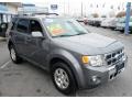 2011 Sterling Grey Metallic Ford Escape Limited V6 4WD  photo #4