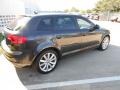 2009 Lava Grey Pearl Effect Audi A3 2.0T quattro  photo #7