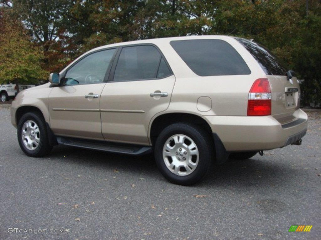 2002 MDX  - Mesa Beige Metallic / Saddle photo #5