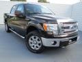 2013 Kodiak Brown Metallic Ford F150 XLT SuperCrew 4x4  photo #1