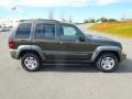 2006 Dark Khaki Pearl Jeep Liberty Sport  photo #6