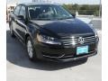 Black - Passat 2.5L S Photo No. 1