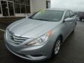 Radiant Silver - Sonata GLS Photo No. 8