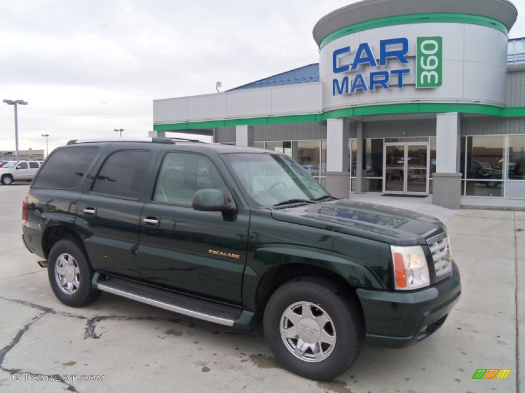 2002 Escalade AWD - Green Envy / Shale photo #1