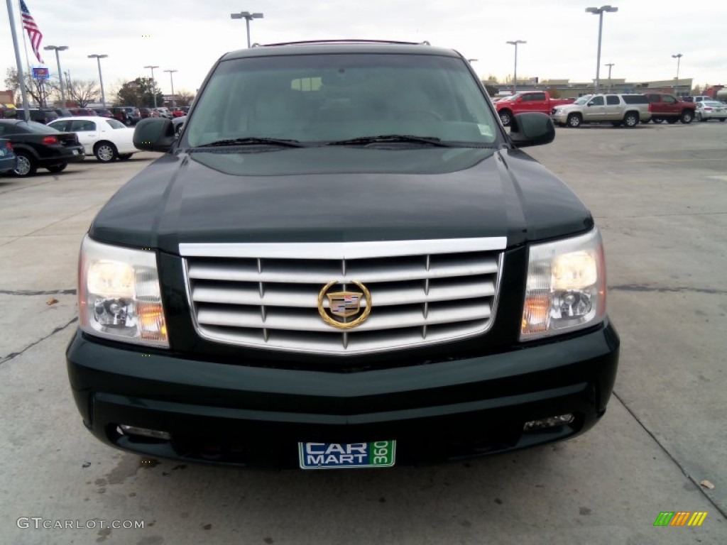 2002 Escalade AWD - Green Envy / Shale photo #2