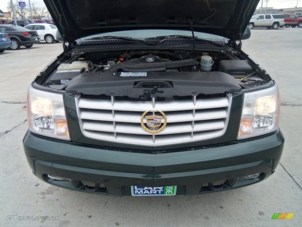 2002 Escalade AWD - Green Envy / Shale photo #3