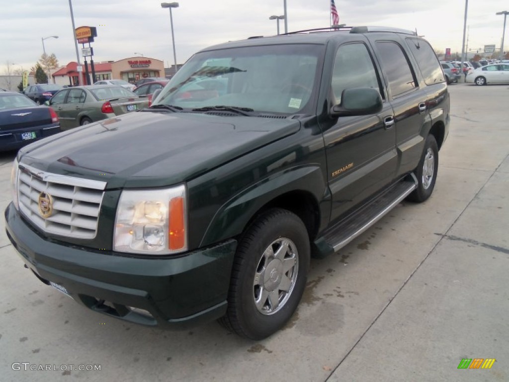 2002 Escalade AWD - Green Envy / Shale photo #5