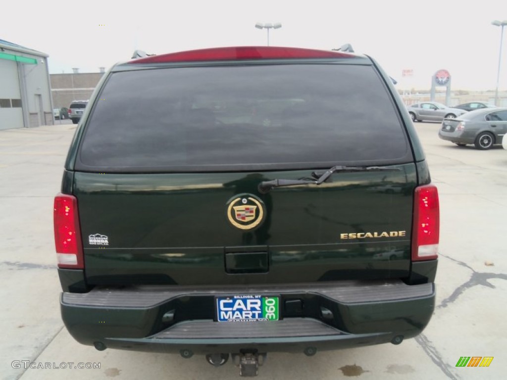 2002 Escalade AWD - Green Envy / Shale photo #21