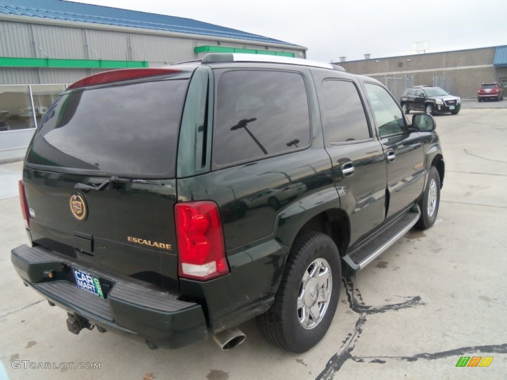 2002 Escalade AWD - Green Envy / Shale photo #23