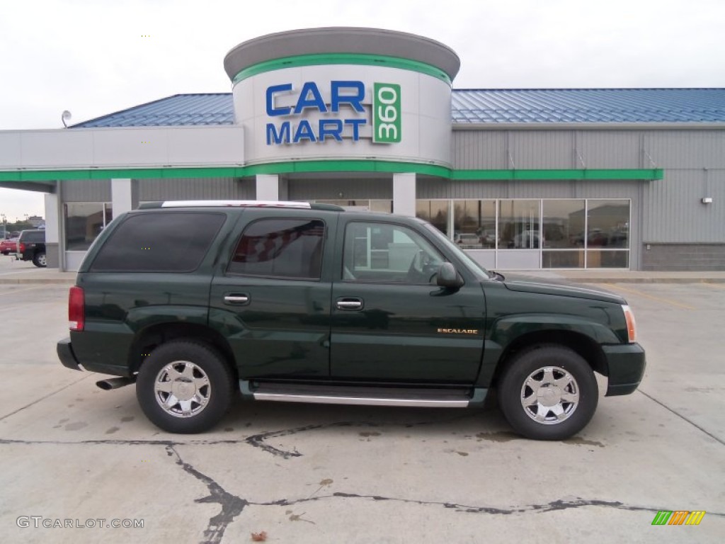 2002 Escalade AWD - Green Envy / Shale photo #27