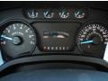 Steel Gray Gauges Photo for 2013 Ford F150 #73058082