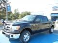 Kodiak Brown Metallic - F150 XLT SuperCrew Photo No. 1