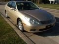 Mystic Gold Metallic - ES 300 Photo No. 2