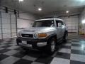 Titanium Metallic - FJ Cruiser 4WD Photo No. 3