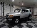 Titanium Metallic - FJ Cruiser 4WD Photo No. 4