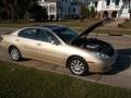 Mystic Gold Metallic - ES 300 Photo No. 32