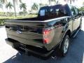 2011 Tuxedo Black Metallic Ford F150 FX2 SuperCrew  photo #6