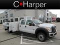 Oxford White - F550 Super Duty XL Crew Cab 4x4 Chassis Photo No. 2