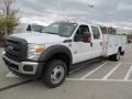 Oxford White - F550 Super Duty XL Crew Cab 4x4 Chassis Photo No. 6