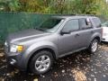 Sterling Grey Metallic - Escape XLT V6 4WD Photo No. 2