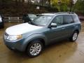 2013 Sage Green Metallic Subaru Forester 2.5 X Premium  photo #8