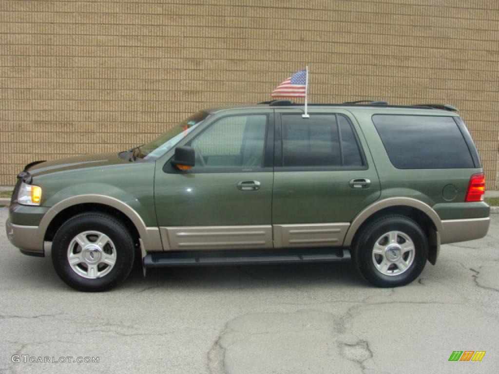 2003 Expedition Eddie Bauer 4x4 - Estate Green Metallic / Medium Parchment photo #2