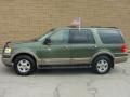 2003 Estate Green Metallic Ford Expedition Eddie Bauer 4x4  photo #2