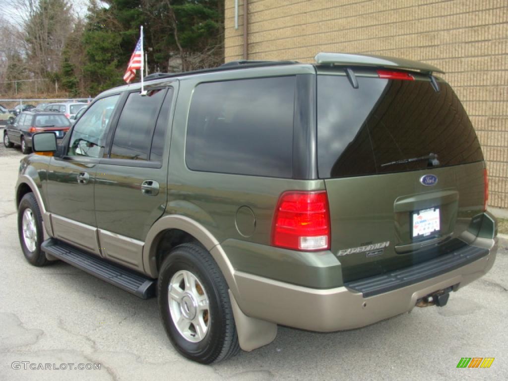 2003 Expedition Eddie Bauer 4x4 - Estate Green Metallic / Medium Parchment photo #3