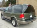 2003 Estate Green Metallic Ford Expedition Eddie Bauer 4x4  photo #3