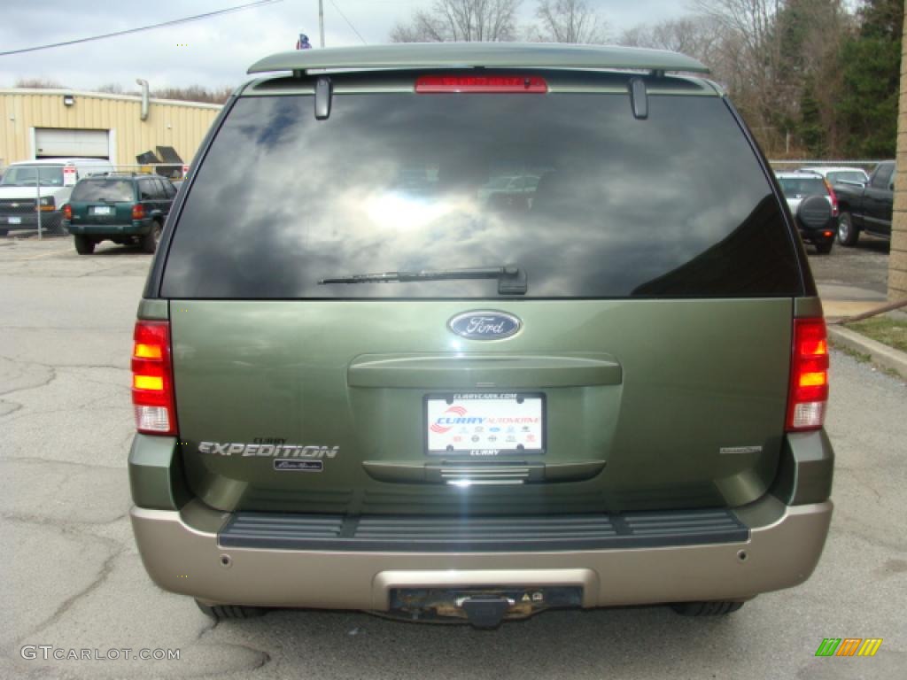 2003 Expedition Eddie Bauer 4x4 - Estate Green Metallic / Medium Parchment photo #4