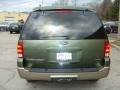 2003 Estate Green Metallic Ford Expedition Eddie Bauer 4x4  photo #4