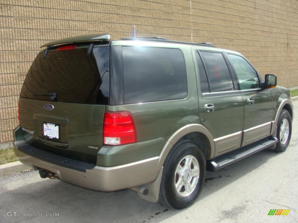2003 Expedition Eddie Bauer 4x4 - Estate Green Metallic / Medium Parchment photo #5