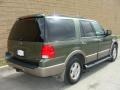 2003 Estate Green Metallic Ford Expedition Eddie Bauer 4x4  photo #5