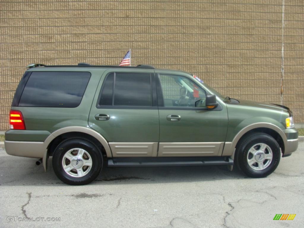 2003 Expedition Eddie Bauer 4x4 - Estate Green Metallic / Medium Parchment photo #6