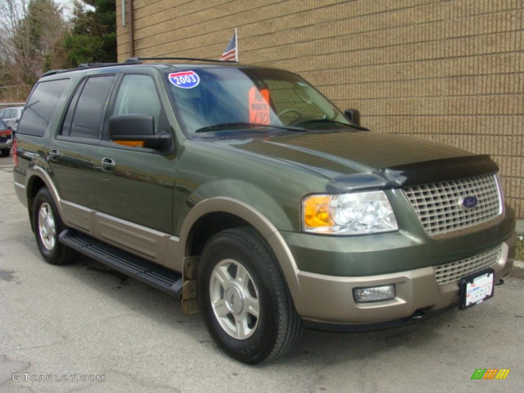 2003 Expedition Eddie Bauer 4x4 - Estate Green Metallic / Medium Parchment photo #7