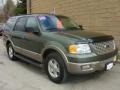 Estate Green Metallic - Expedition Eddie Bauer 4x4 Photo No. 7