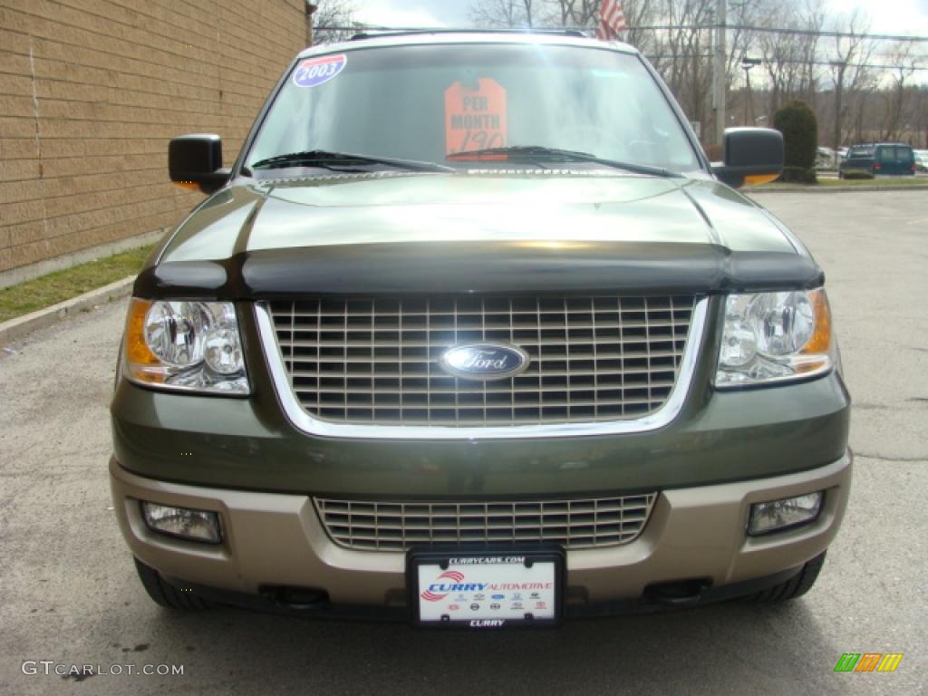 2003 Expedition Eddie Bauer 4x4 - Estate Green Metallic / Medium Parchment photo #8