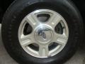 2003 Estate Green Metallic Ford Expedition Eddie Bauer 4x4  photo #15