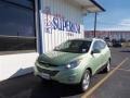 2013 Kiwi Green Hyundai Tucson GLS  photo #1