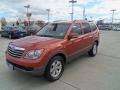 2009 Copperhead Kia Borrego LX V6 4x4  photo #5