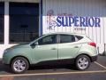 2013 Kiwi Green Hyundai Tucson GLS  photo #4