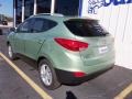 2013 Kiwi Green Hyundai Tucson GLS  photo #5