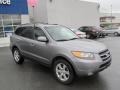 2007 Steel Gray Hyundai Santa Fe Limited 4WD  photo #6